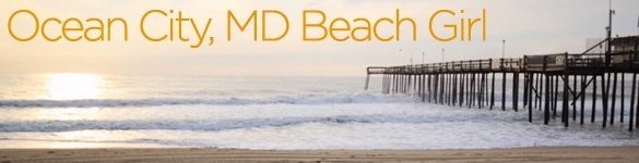 ocean city maryland beach irene